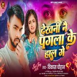Dekhani Nai Pagala Ke Hal Ge