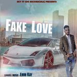Fake Love