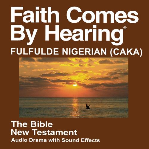 Fulfulde Nigerian (Caka) New Testament (Non-Dramatized)