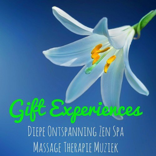 Gift Experiences - Natuurlijke Geluiden Instrumentale Easy Listening Rustgevende Geluiden voor Diepe Ontspanning Zen Spa Massage Therapie Muziek