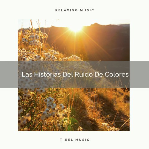 Las Historias Del Ruido De Colores cover art