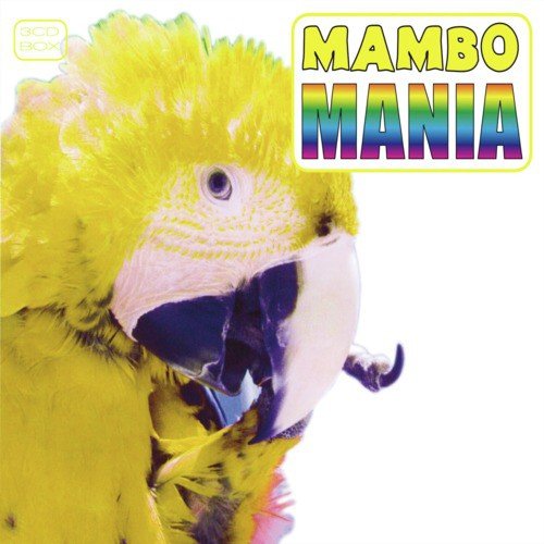 Mambo Daisy - Original