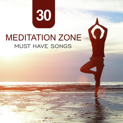 Meditation Zone (30 Must Have Songs, Spiritual Path to Buddha, Mindfulness of Breathing, Deep Visualization, Yoga and Healing Music)_poster_image