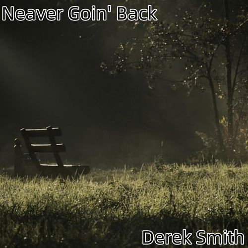 Neaver Goin' Back_poster_image