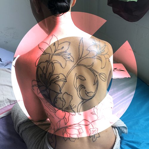Orchid cover art