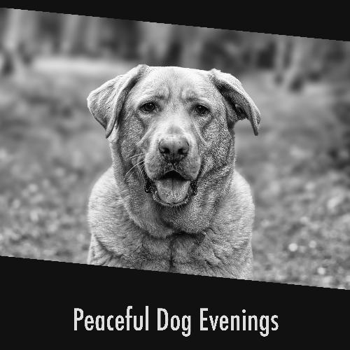 Pet Stress Buster cover art