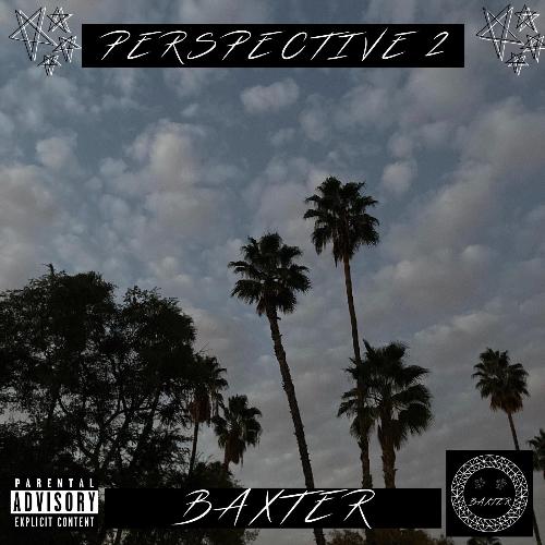 Perspective 2
