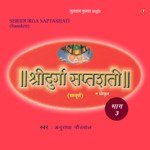 Shri Durga Saptshati Vol-3