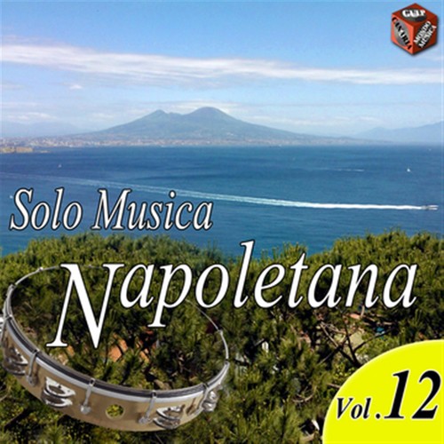 Solo musica napoletana, Vol. 12