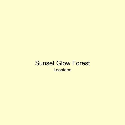 Sunset Glow Forest