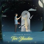 Teri Yaadein