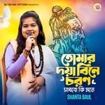 Tomar Doya Bine Coron Sadhbo Ki Mote