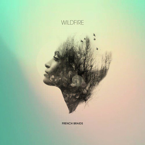 Wildfire (feat Frankmusik)_poster_image