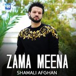 Zama Meena