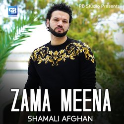 Zama Meena