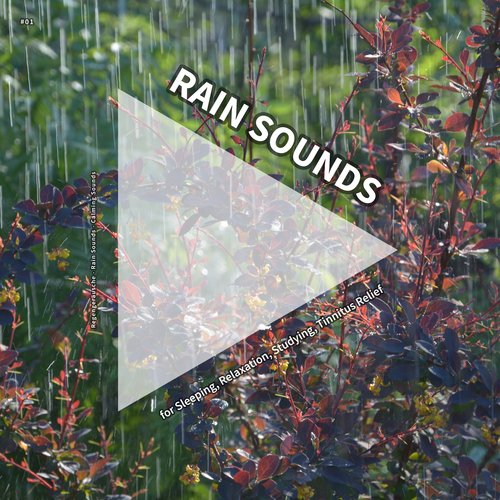 Rain Sounds to Fall Asleep cover art
