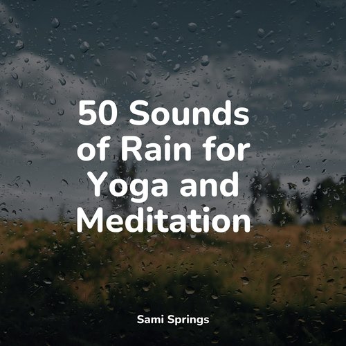 50 Sounds of Rain for Yoga and Meditation