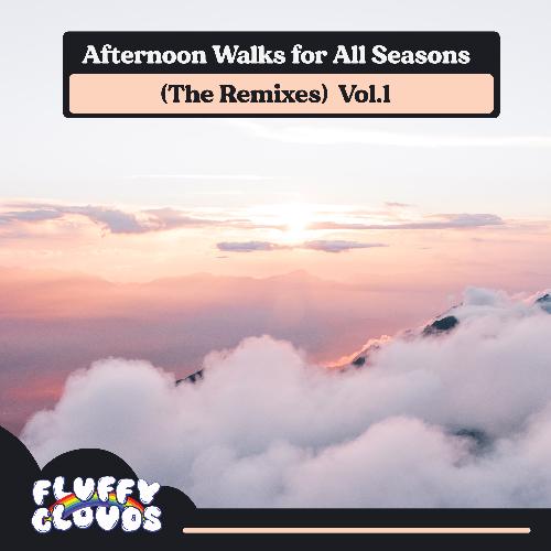 Afternoon Walks for All Seasons (The Remixes), Vol. 1_poster_image