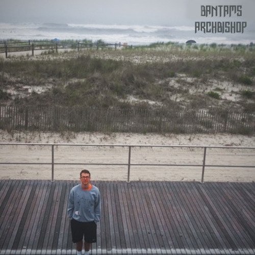 Hollis cover art