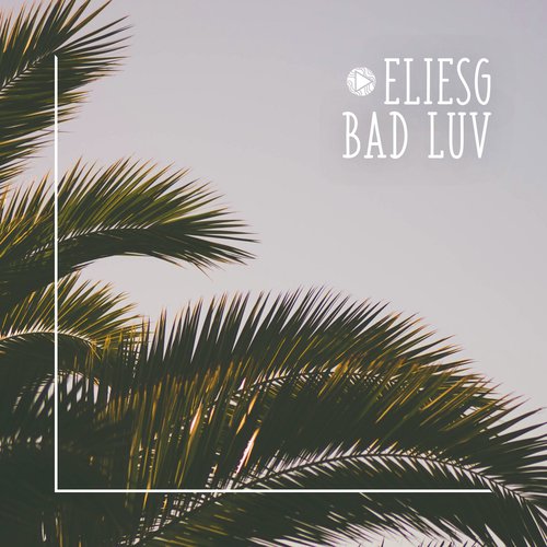 Bad Luv cover art