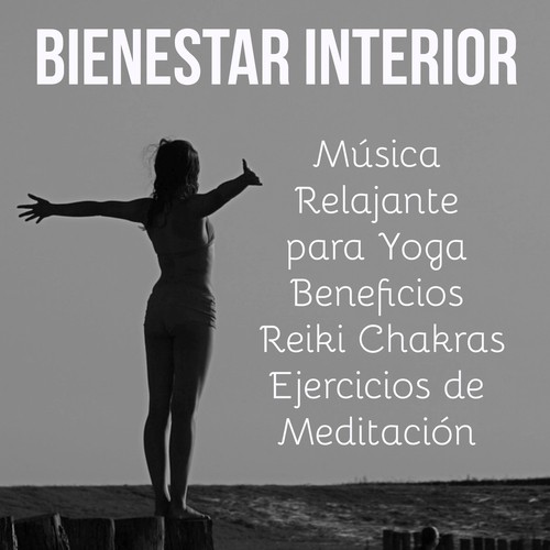 Musica para Dormir Bebes cover art