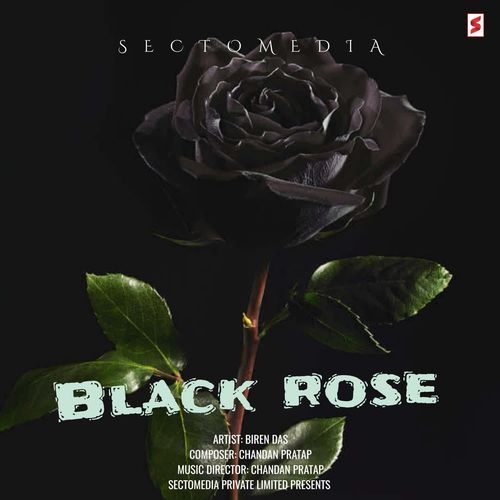 Black Rose