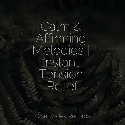 Calm & Affirming Melodies | Instant Tension Relief