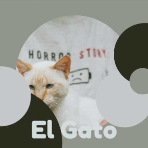 El Gato