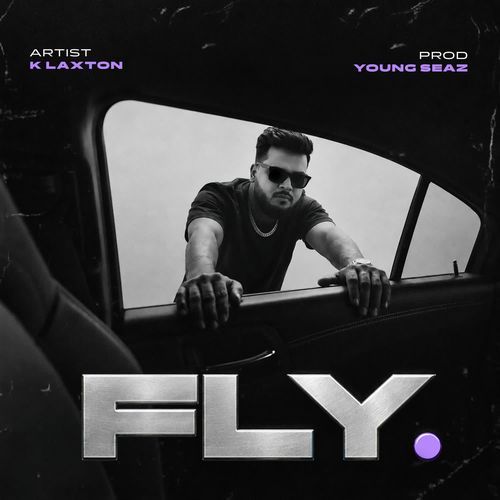 FLY