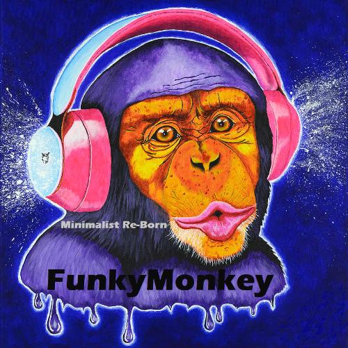 FunkyMonkey cover art