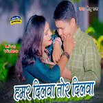 Hamar Dilwa Tor Dilwa