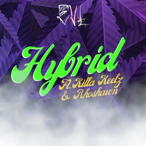 Hybrid