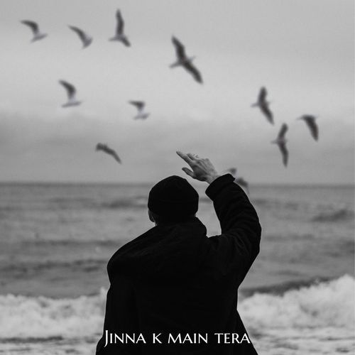 Jinna k main tera