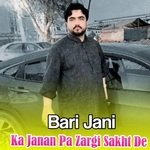 Ka Janan Pa Zargi Sakht De