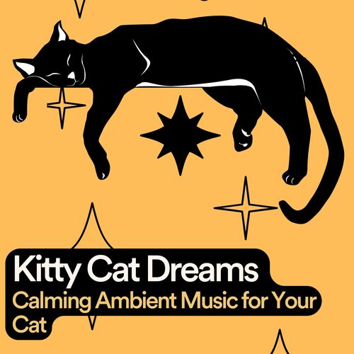 Kitty Cat Dreams Calming Ambient Music for Your Cat, Pt. 20