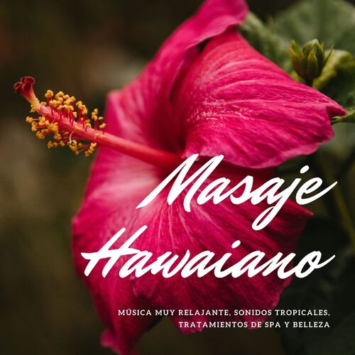 Música Muy Relajante cover art