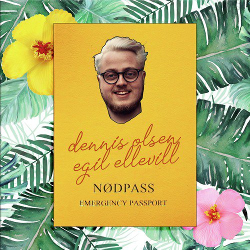 Nødpass_poster_image