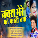 Navra Mere Ko Karti Kya