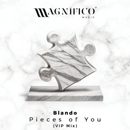 Pieces Of You (VIP Mix)_poster_image