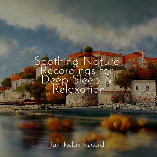 Soothing Nature Recordings for Deep Sleep & Relaxation_poster_image