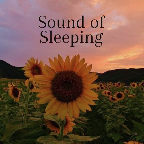 Sound of Sleeping