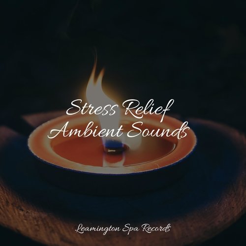 Stress Relief Ambient Sounds