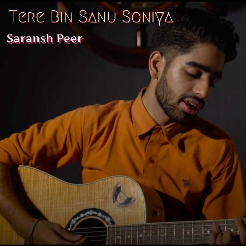 Tere Bin Sanu Soniya (Acoustic)