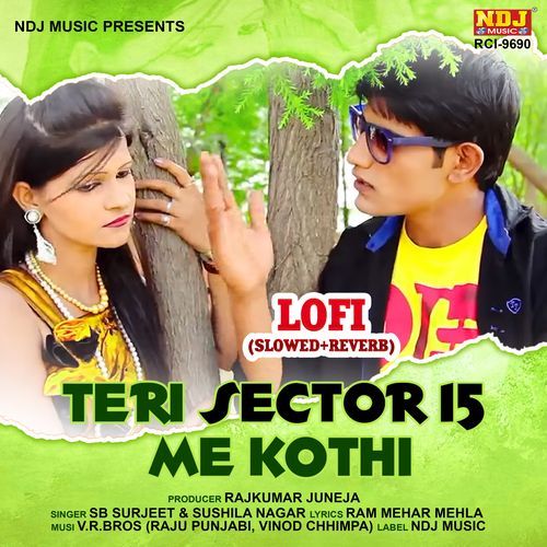 Teri Sector 15 Me Kothi (Lofi Slowed+Reverb)