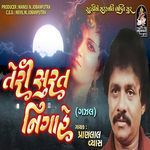 Teri Surat Nigahe artwork
