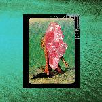 Tick Tock (Acoustic)