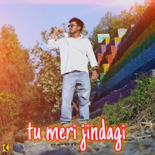Tu Meri Jindagi