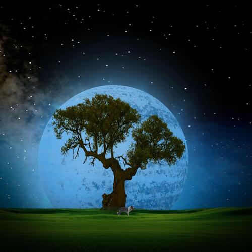 VALUE HAPPINESS WORLDWIDE