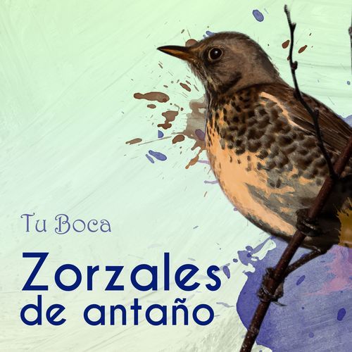 Zorzales de Antaño…Tu Boca_poster_image