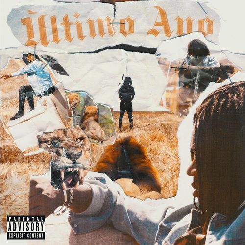 Kelly cover art